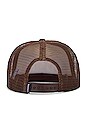 view 2 of 2 Landscape Service Trucker Hat in Beige & Brown
