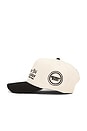 view 3 of 3 Cigarette Psychology Trucker in Antique White & Black
