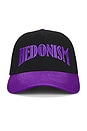 view 1 of 3 Hedonism Trucker Hat in Black & Purple