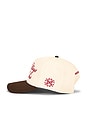 view 3 of 3 Last Days in Paris Trucker Hat in Cream & Brown