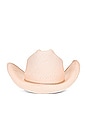 view 1 of 2 SOMBRERO LUCILLE COWBOY 2 in Pale Pink