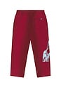 view 2 of 7 Stencil Logo Sweatpants in Burgundy