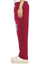 view 6 of 7 Stencil Logo Sweatpants in Burgundy