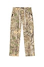 view 5 of 6 PANTALÓN CARGO REGIME in Tree Camo
