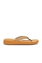 view 1 of 5 TONGS SURFRIDER in Taupe Tan