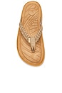 view 4 of 5 TONGS SURFRIDER in Taupe Tan