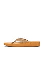 view 5 of 5 TONGS SURFRIDER in Taupe Tan