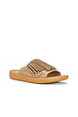 view 2 of 5 SANDALES THUNDERBIRD in Taupe Tan