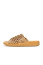 view 5 of 5 SANDALES THUNDERBIRD in Taupe Tan