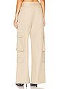 view 3 of 4 Cargo Pant in Beige