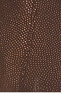 view 5 of 4 Cami Dress in Dark Brown