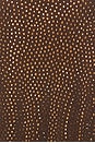 view 6 of 5 Annie Top in Dark Brown