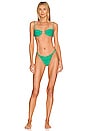 view 4 of 4 TOP BIKINI BUSTIER in Green