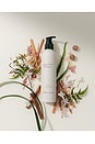 view 5 of 5 No.04 Bois de Balincourt Body Lotion in 