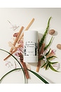 view 4 of 4 No.04 Bois de Balincourt Deodorant in 