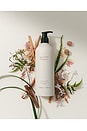 view 4 of 4 No.04 Bois de Balincourt Body and Hand Wash in 