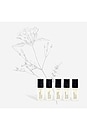 view 4 of 4 Perfume Oil Discovery Set in 