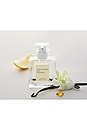 view 2 of 3 PARFUM NO.15 VANILLE INFINIE in 
