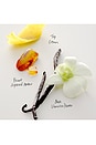 view 3 of 3 PARFUM NO.15 VANILLE INFINIE in 