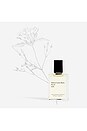 view 2 of 2 No.14 Icila Perfume Oil in 