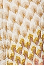 view 4 of 4 Long Dress in Gold And Beige On White Base