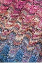 view 4 of 4 Short Dress in Multi Degrade' With Blue Base