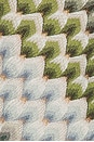 view 5 of 5 Haut in Green And Light Blue With White Base