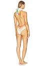 view 3 of 3 MAILLOT DE BAIN 1 PIÈCE AVEC TOUR DE COU ONE PIECE in Multicolor