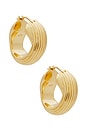 view 1 of 3 X Lucy Williams Chunky Entwined Hoops in Gold