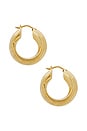 view 2 of 3 X Lucy Williams Chunky Entwined Hoops in Gold