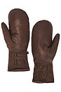 view 2 of 2 GANTS WANDERLUST in Chocolate
