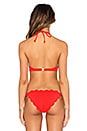 view 3 of 4 Mott Bikini Top in Poppy Red