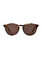 view 1 of 3 LUNETTES DE SOLEIL in Tortoise & Brown