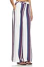 view 2 of 6 Rowena Pant in Stripe Print