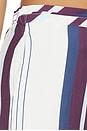 view 6 of 6 Rowena Pant in Stripe Print