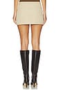 view 4 of 6 Nikolas Skirt in Tan