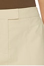 view 6 of 6 Nikolas Skirt in Tan