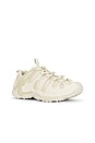 view 2 of 6 Cham Redux Ltr Se Sneaker in Stucco & Beige