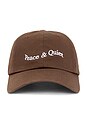 view 1 of 3 Wordmark Dad Hat in Brown