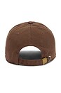 view 2 of 3 Wordmark Dad Hat in Brown