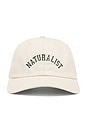 view 1 of 3 Naturalist Dad Hat in Bone
