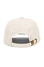 view 2 of 3 Naturalist Dad Hat in Bone