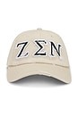 view 1 of 3 Zen Distressed Dad Hat in Bone