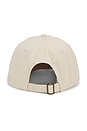 view 2 of 3 Zen Distressed Dad Hat in Bone
