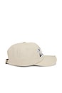 view 3 of 3 Zen Distressed Dad Hat in Bone