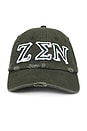 view 1 of 3 Zen Distressed Dad Hat in Forest