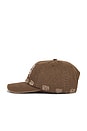 view 3 of 3 Wordmark Distressed Dad Hat in Coffee