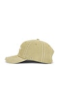 view 3 of 3 Wordmark Reverse Stitched Dad Hat in Sage