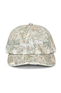 view 1 of 4 Wordmark Camo Dad Hat in Camouflage
