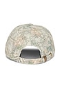 view 2 of 4 Wordmark Camo Dad Hat in Camouflage